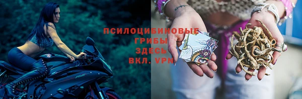 круглые Верея