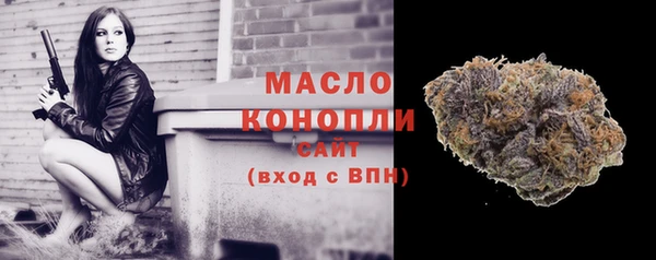 гидра Володарск
