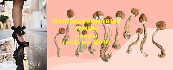 PSILOCYBIN Волосово