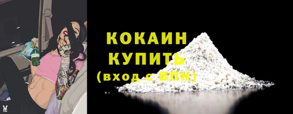 гидра Володарск