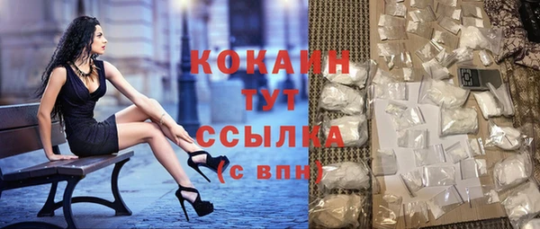 амф Верхний Тагил