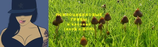 амф Верхний Тагил