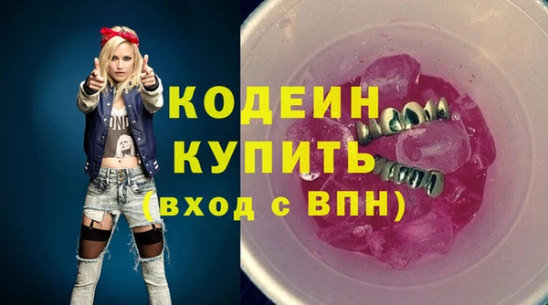 амф Верхний Тагил