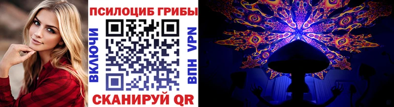 Галлюциногенные грибы MAGIC MUSHROOMS  закладки  Бийск 